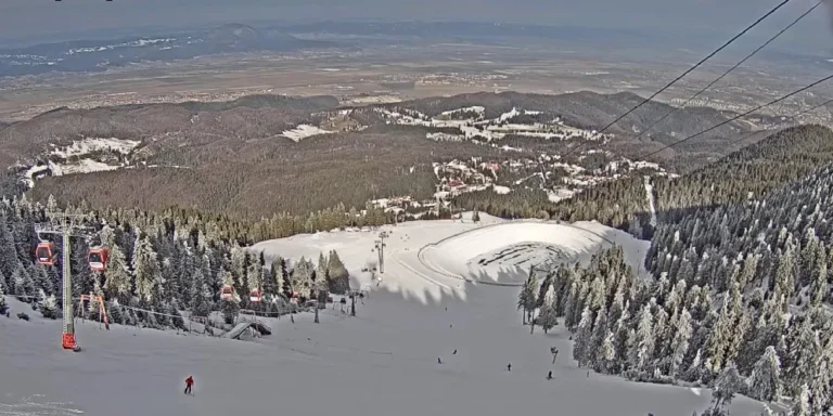 webcam poiana brasov